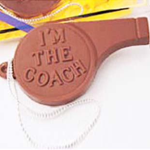 Photo of Coach's Whistle