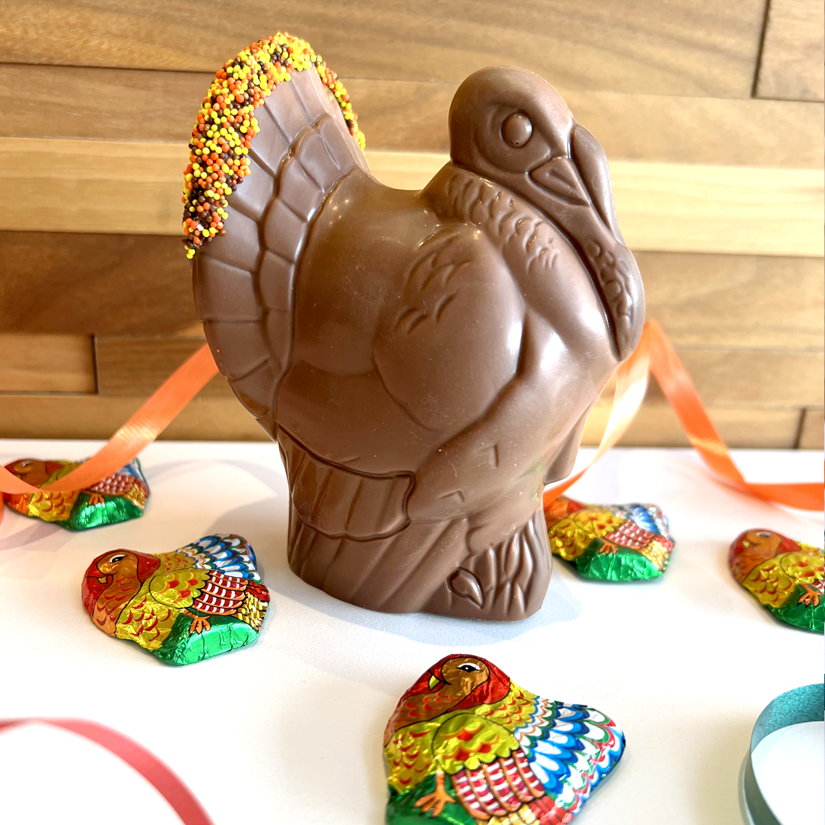 Photo of 5 Inch Chocolate Turkey - Semi-Solid