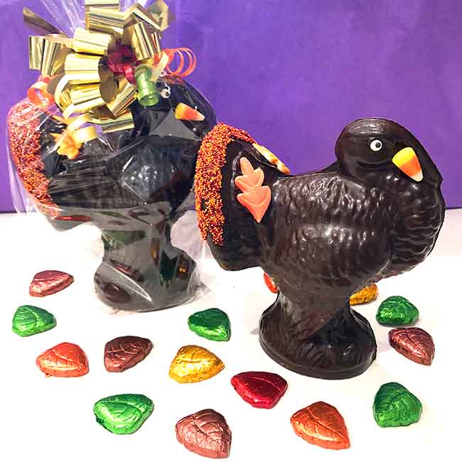 Photo of 9 Inch Chocolate Turkey - Semi-Solid