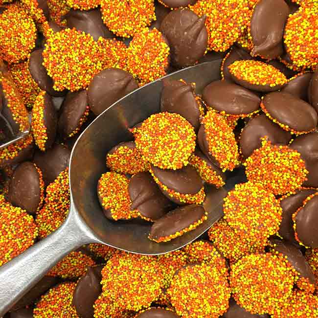 Milk Chocolate Fall Non-Pareils
