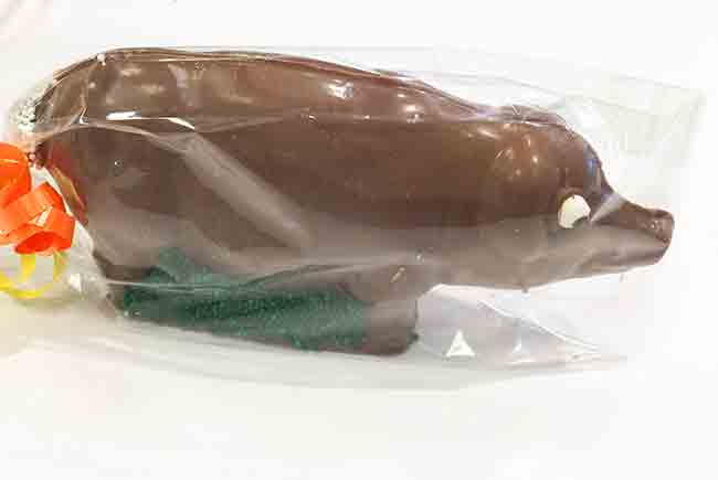 Photo of Chocolate Pig