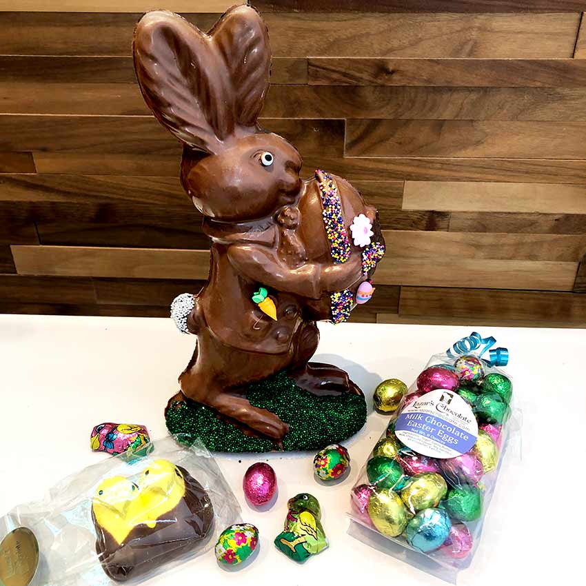 Photo of Zavier's Chocolate Rabbit