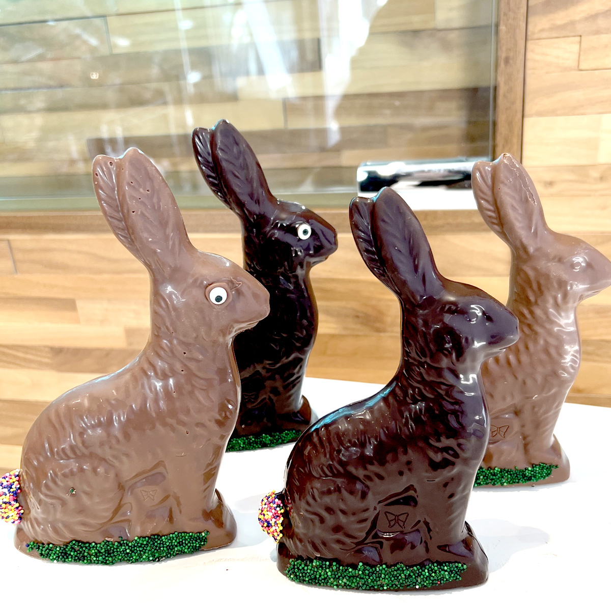 Photo of Decorated traditional Sitting Chocolate Bunnies